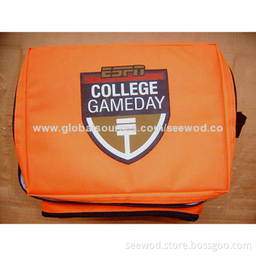 ESPN Picnic/Cooler Bag with Speaker and Foldable Design